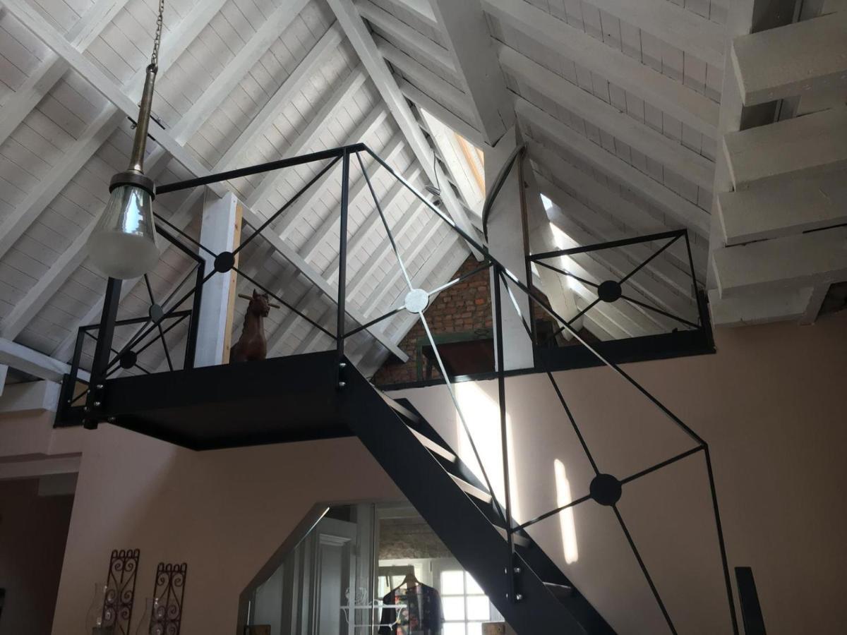 Huisje Van Marlies Villa Anversa Esterno foto